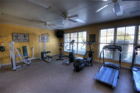 3BR/2BA Condo on First Floor ~ New Tampa ~ Equestrian Parc property image