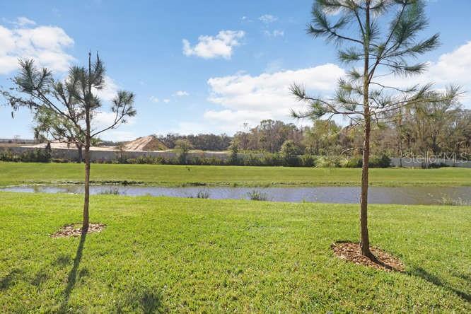 Arbors at Wiregrass Ranch 4 Bedroom Townhome! property image