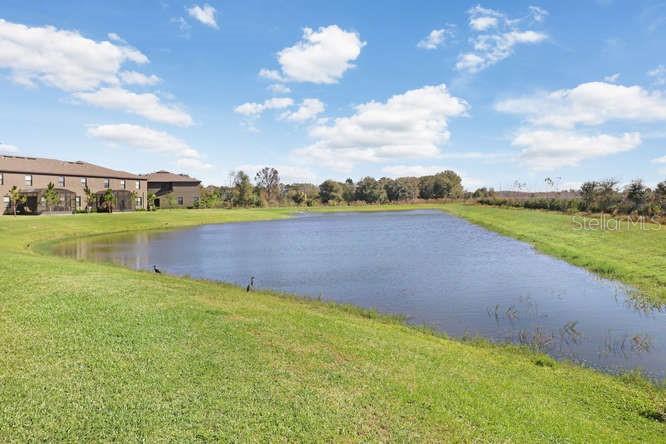 Arbors at Wiregrass Ranch 4 Bedroom Townhome! property image