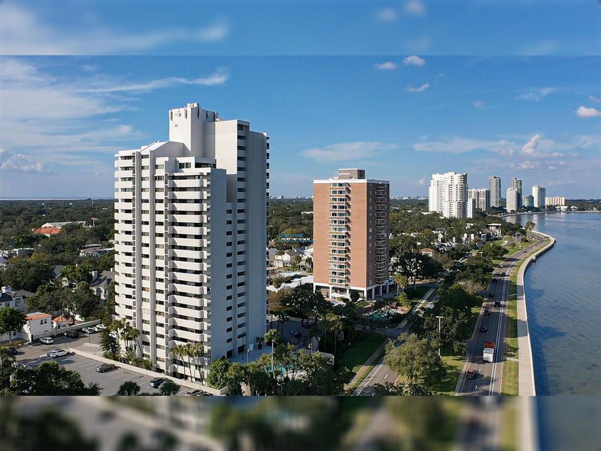 WATER VIEWS on Bayshore Boulevard! property image