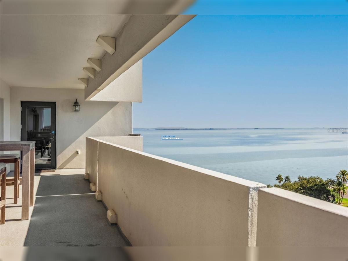 WATER VIEWS on Bayshore Boulevard! property image