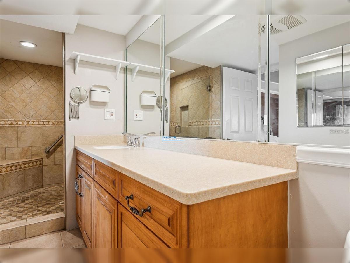 WATER VIEWS on Bayshore Boulevard! property image