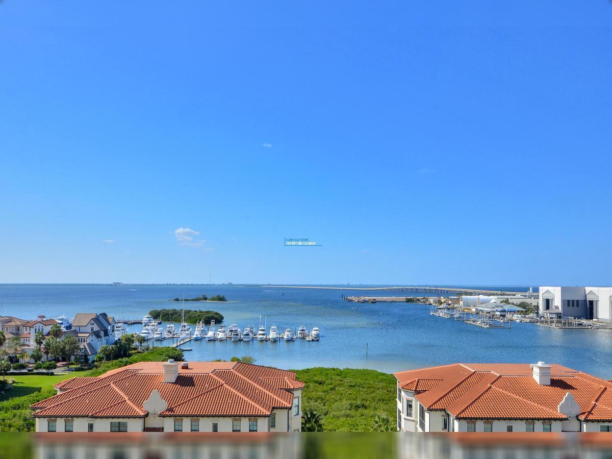 FURNISHED - Stunning 8th Floor Castillo Tower Condo! property image