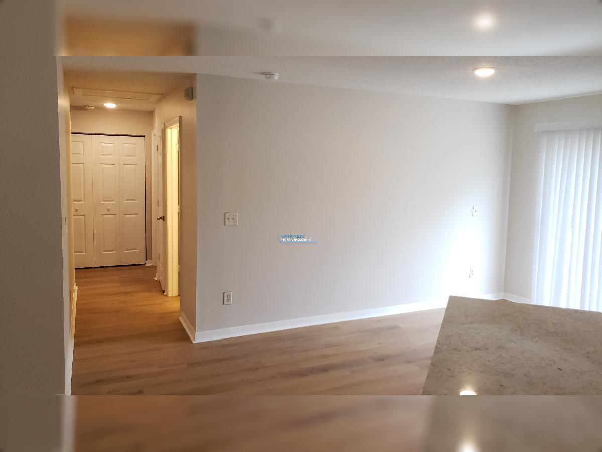 BEAUTIFULLY RENOVATED TEMPLE TERRACE HOME WITH HUGE YARD! property image
