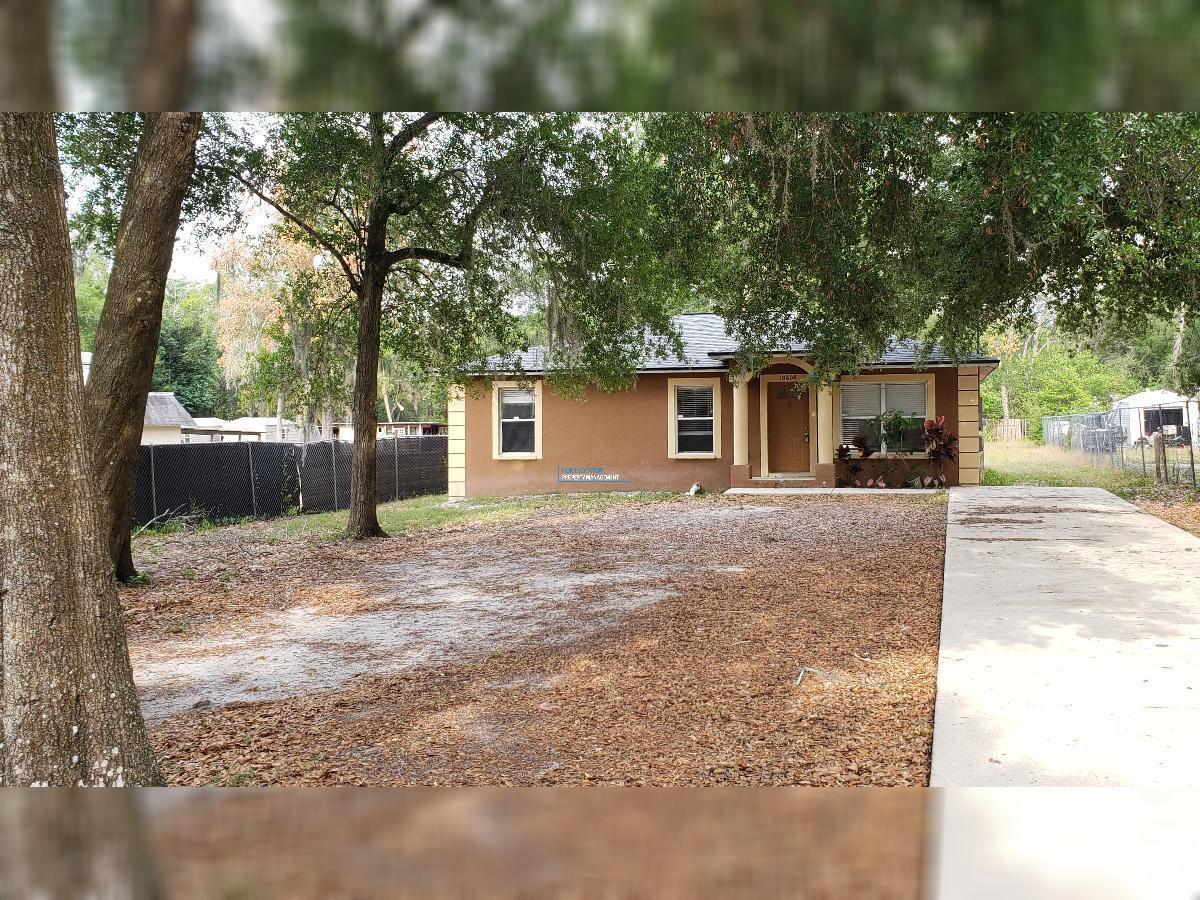 BEAUTIFULLY RENOVATED TEMPLE TERRACE HOME WITH HUGE YARD! property image