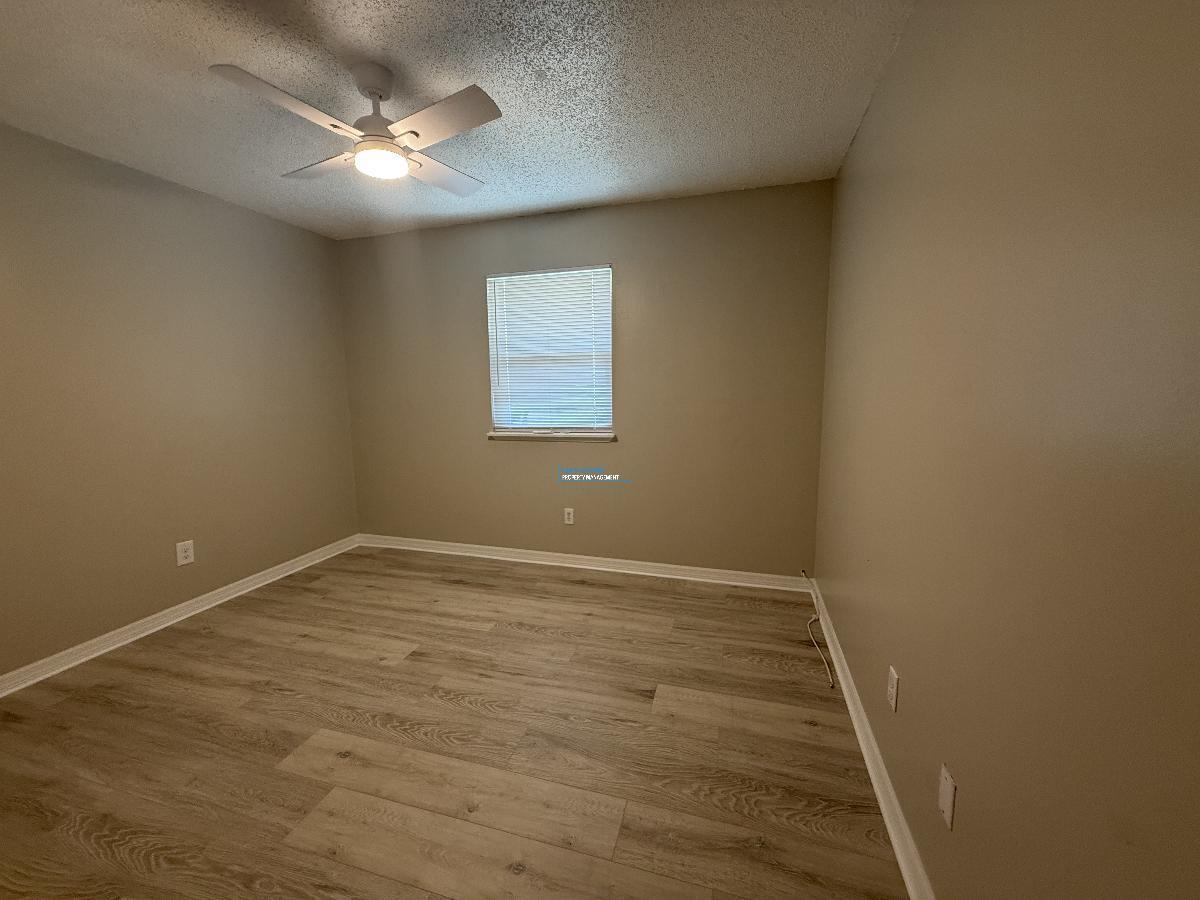 Carrollwood Condo - NEWLY RENOVATED 1/1 property image