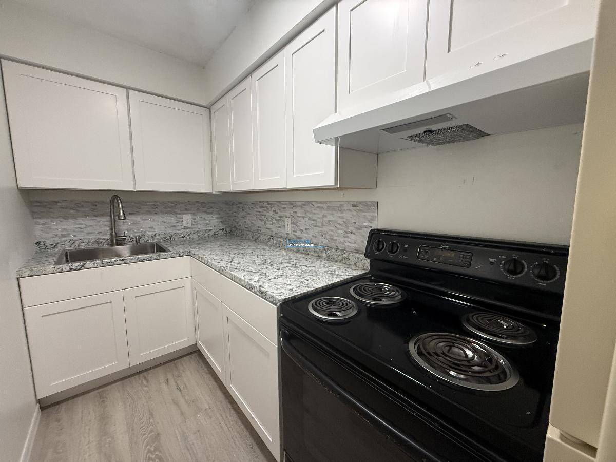 Carrollwood Condo - NEWLY RENOVATED 1/1 property image