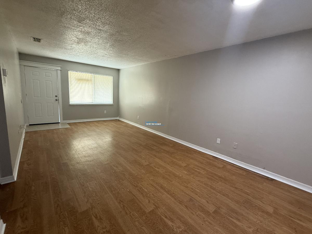 Carrollwood Condo - NEWLY RENOVATED 1/1 property image