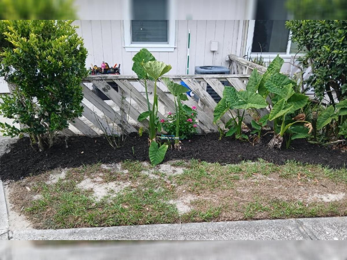 Carrollwood Condo - NEWLY RENOVATED 1/1 property image