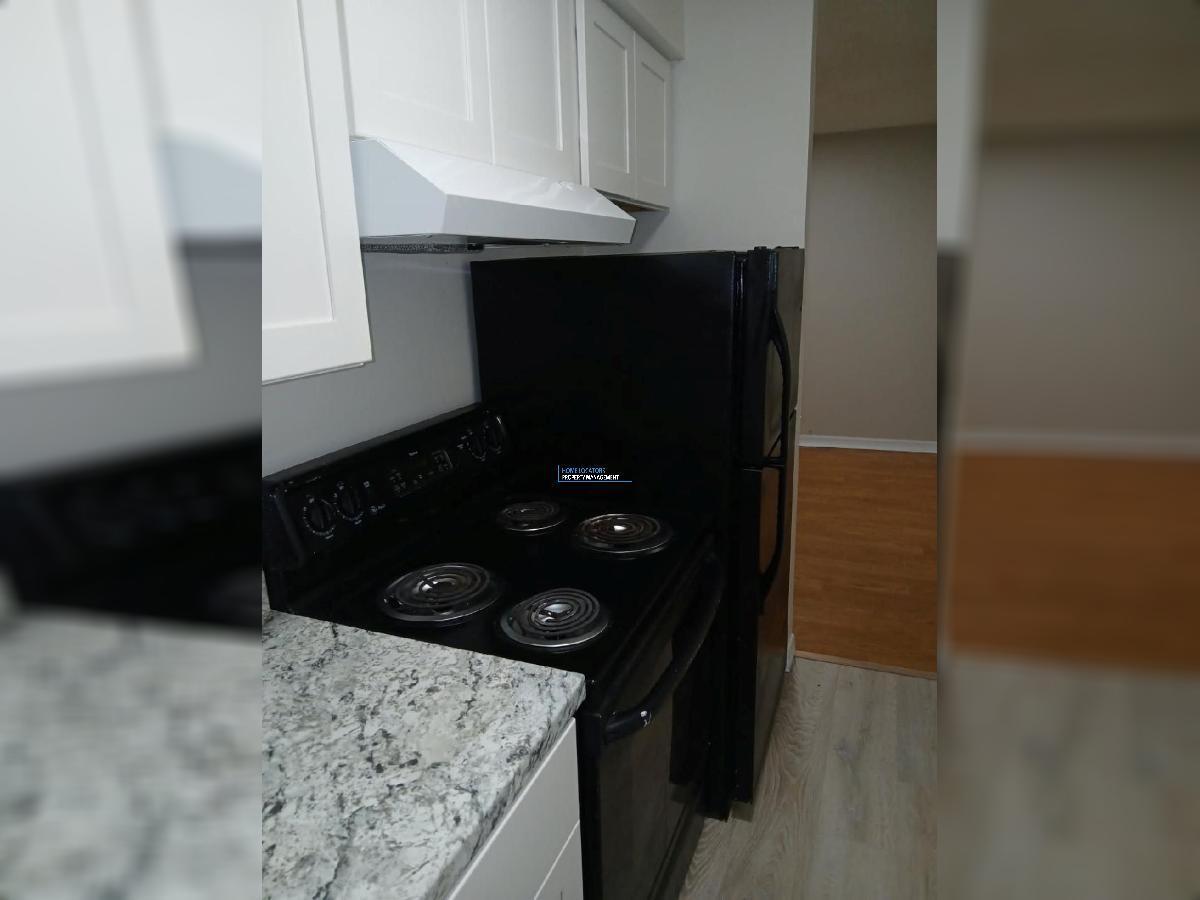 Carrollwood Condo - NEWLY RENOVATED 1/1 property image