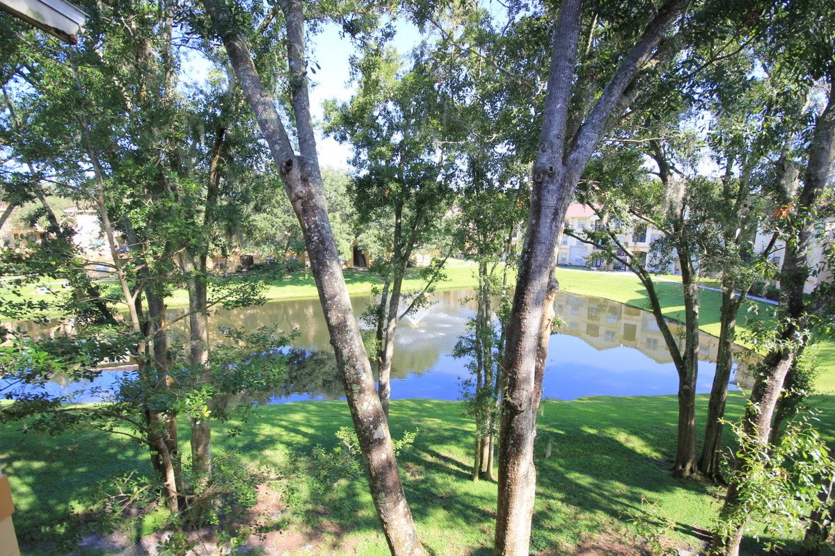BEAUTIFULLY REMODELED - TOP FLOOR! - 2/2 at Pinnacle at Carrollwood! property image