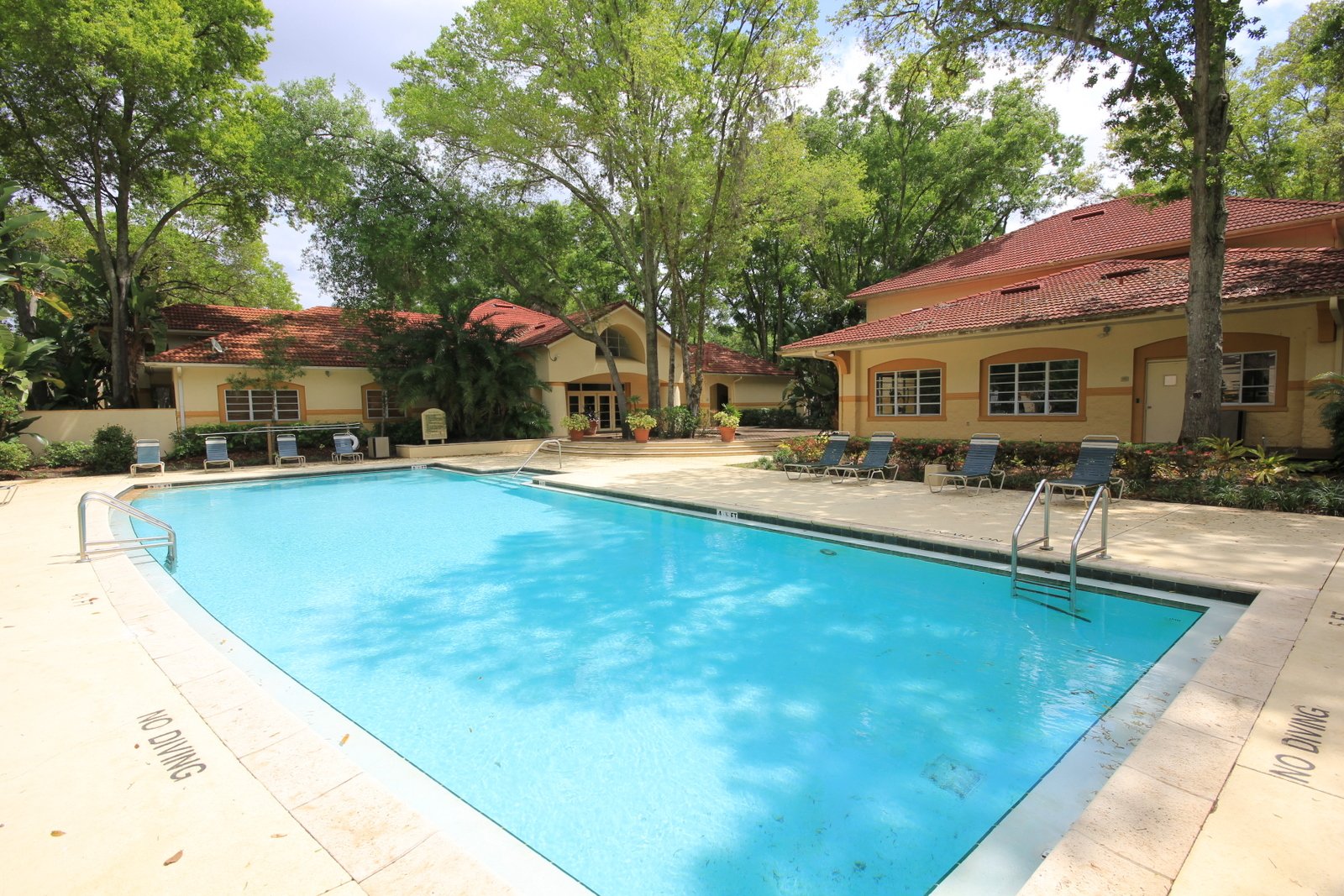 BEAUTIFULLY REMODELED - TOP FLOOR! - 2/2 at Pinnacle at Carrollwood! property image