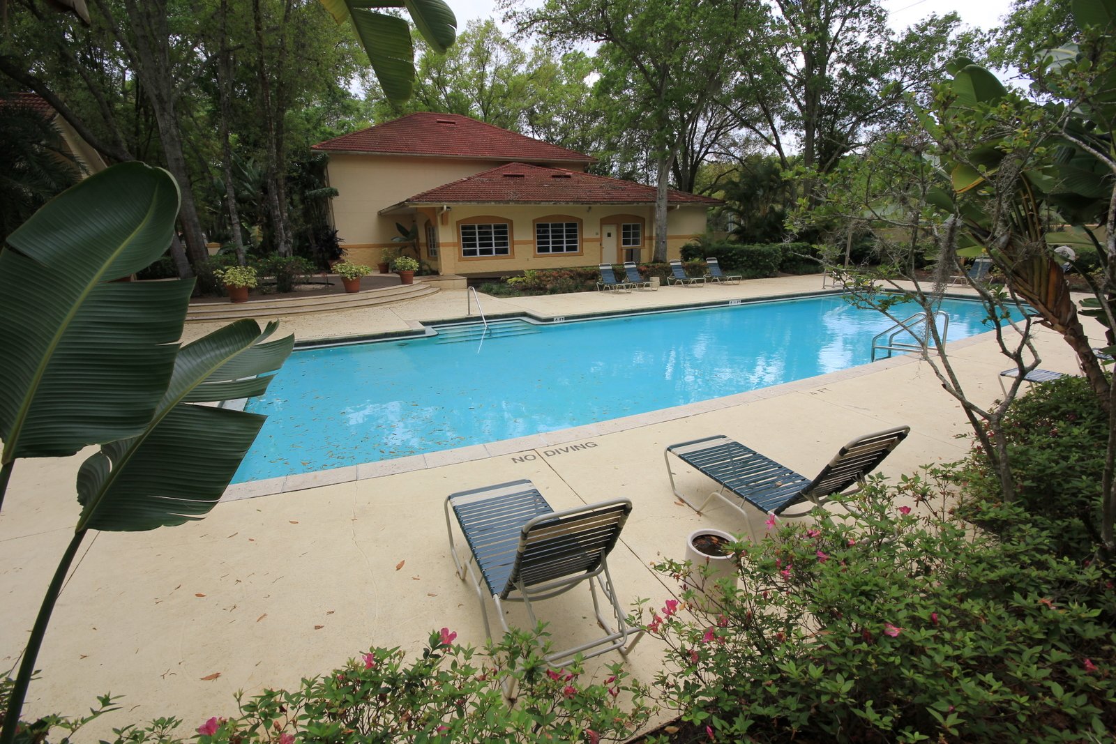 BEAUTIFULLY REMODELED - TOP FLOOR! - 2/2 at Pinnacle at Carrollwood! property image