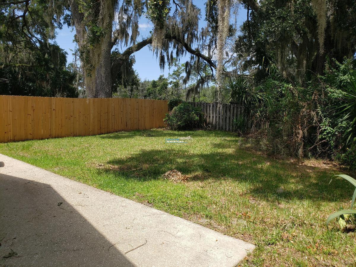 Great 2-Story Single Family Home in Deer Park in Lutz! property image