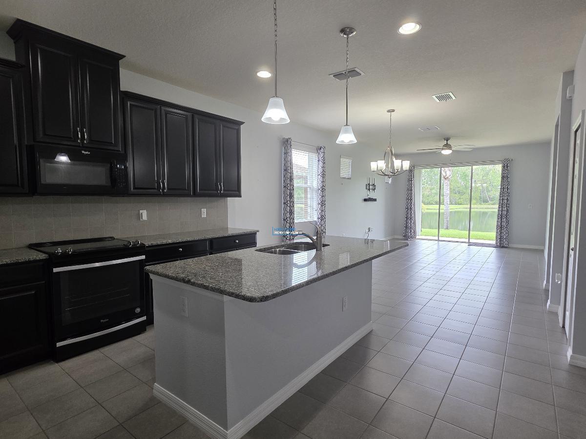 New River Lakes in Wesley Chapel! property image