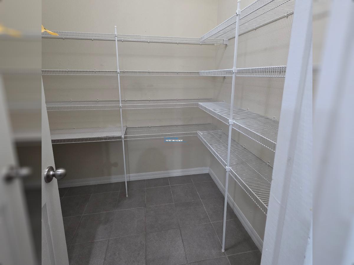 New River Lakes in Wesley Chapel! property image