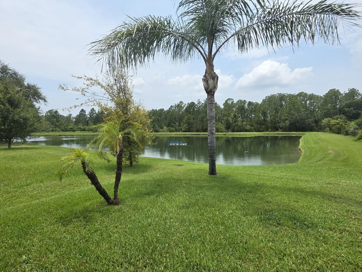 New River Lakes in Wesley Chapel! property image