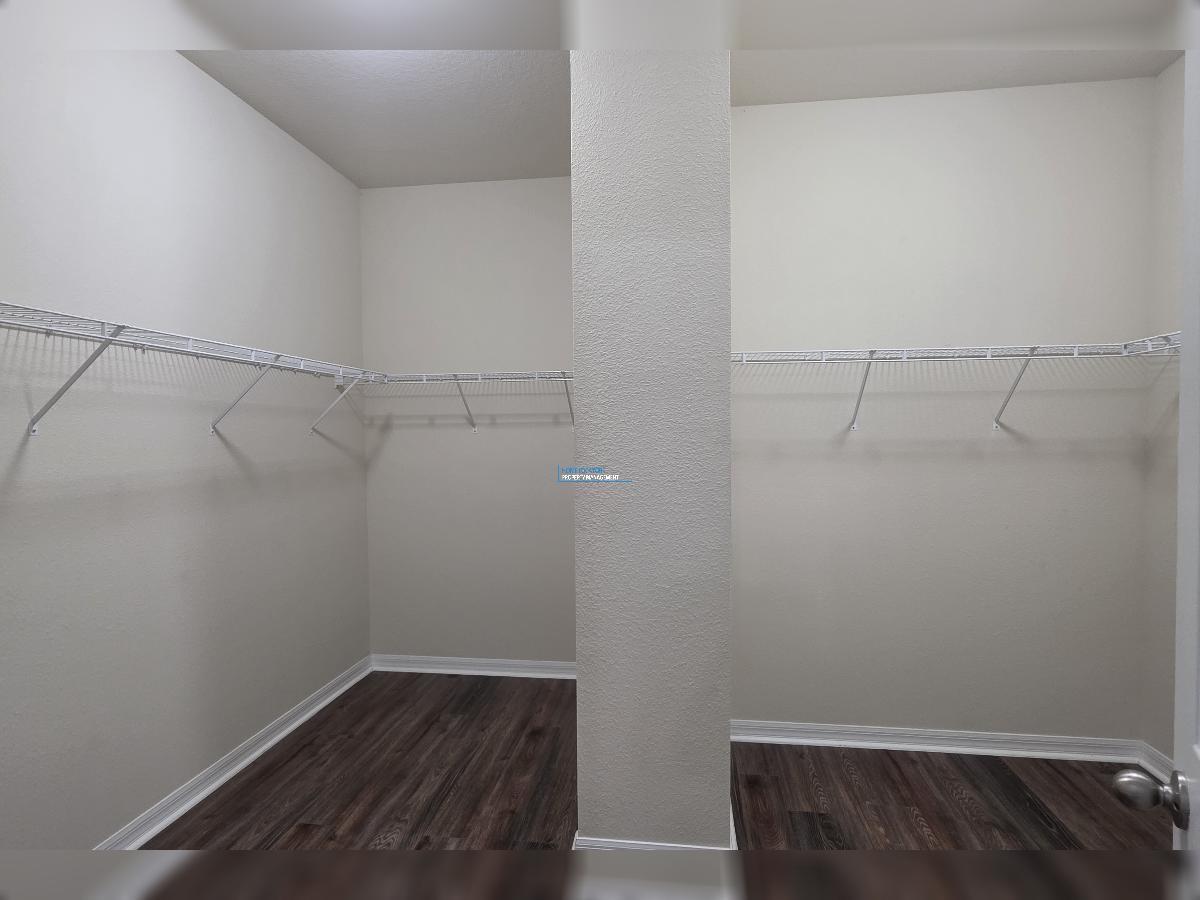 New River Lakes in Wesley Chapel! property image