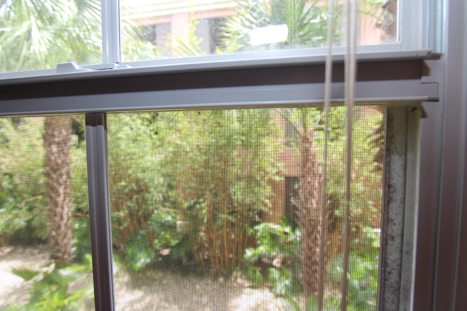 Gorgeous Madison at Soho 1BR/1BA Condo! property image