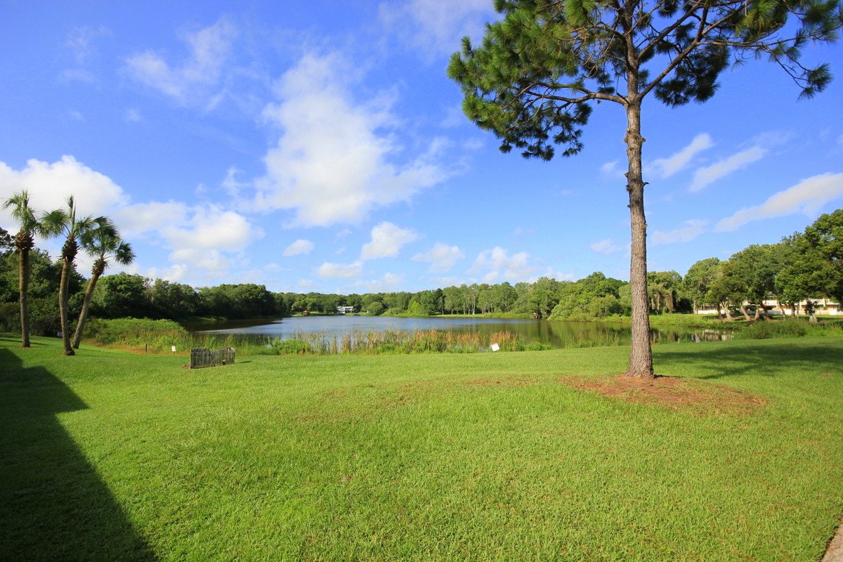 POOL and LAKE VIEW! - 2BR / 1.5BA Townhome in Land O Lakes'! property image