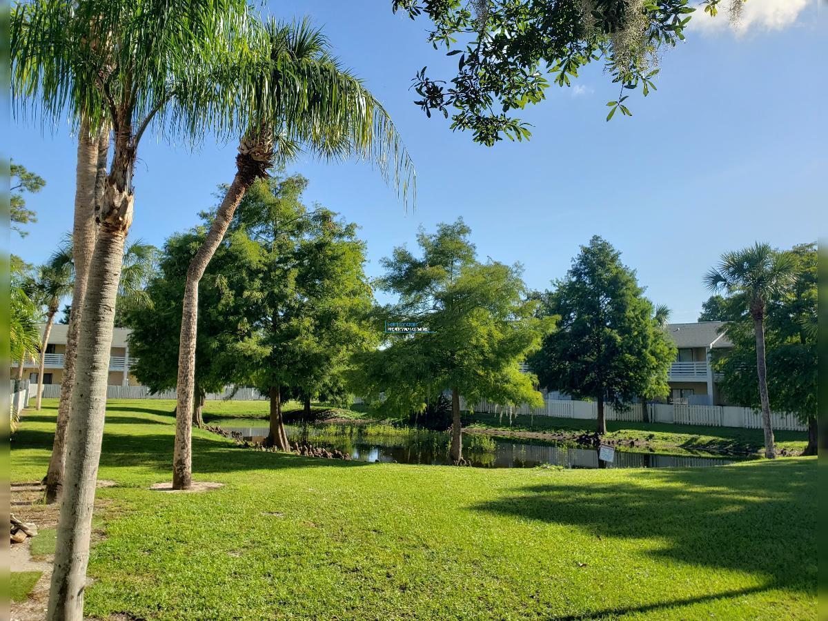 POOL and LAKE VIEW! - 2BR / 1.5BA Townhome in Land O Lakes'! property image