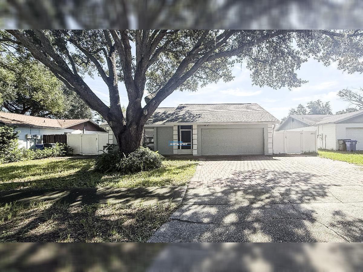 CITRUS PARK AREA - 3/2 Single Family - Fenced with Swim Spa! property image