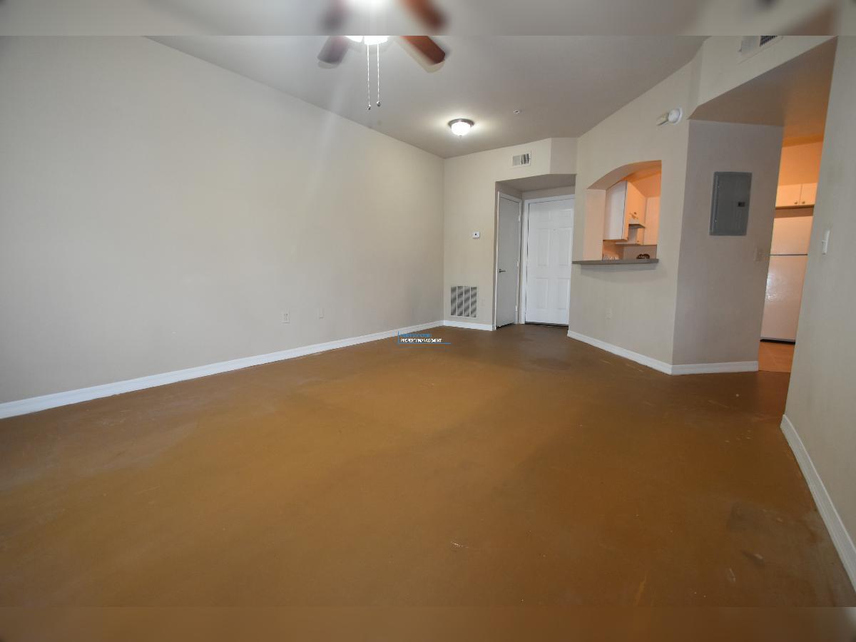 1BR/1BA Condo at The Arbors of Carrollwood property image